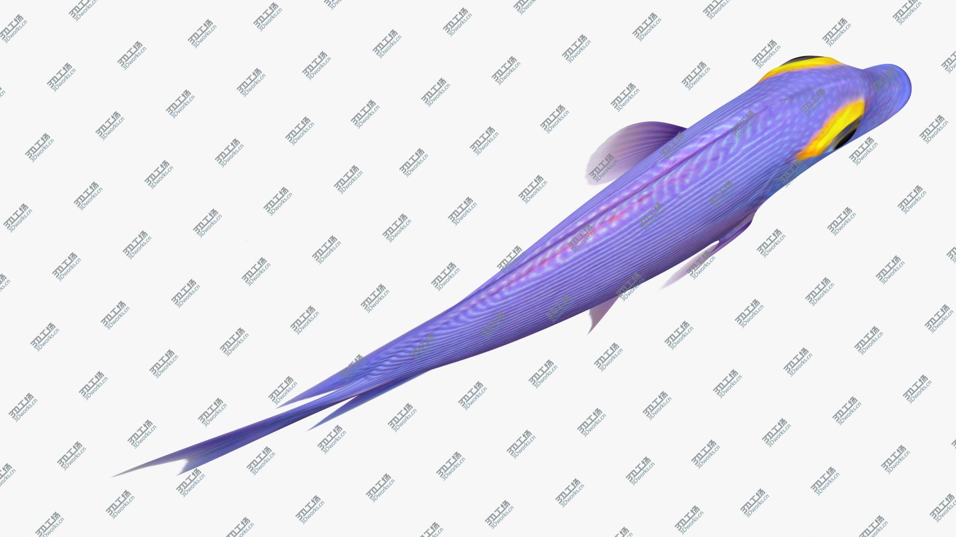 images/goods_img/2021040231/Kole Tang Animated 3D model/3.jpg